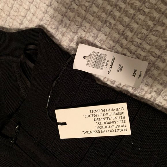 Ten by Babaton Aritzia Alexander Bandage Dress - Picture 4 of 5